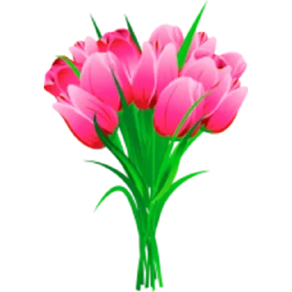 Telegram sticker 🌷 @GOgorshochek24 Косметика оптом из Кореи