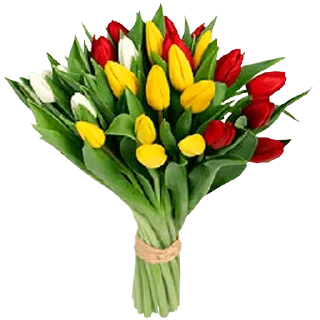 Telegram sticker 🌷 @GOgorshochek24 Косметика оптом из Кореи