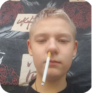 Sticker 😎 Фенинолаллал