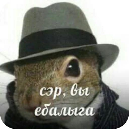 Telegram sticker 🎩 Нмипрмп