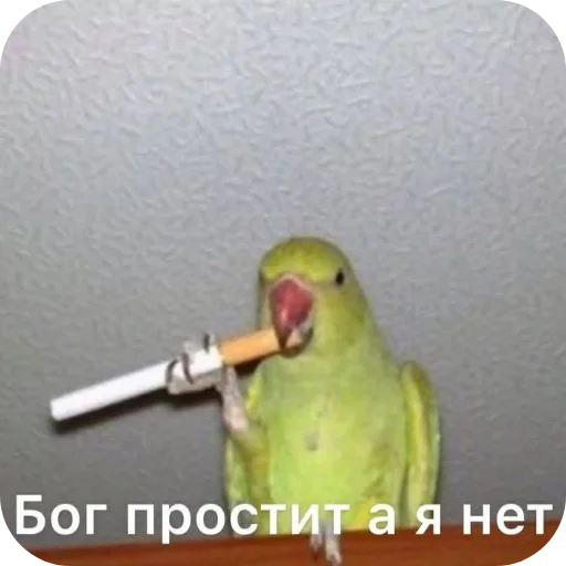 Telegram sticker 🐦 Нмипрмп