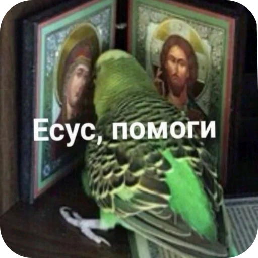 Telegram sticker 👍 Нмипрмп