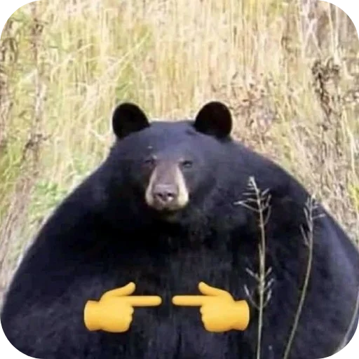 Telegram sticker 🧥 Нмипрмп