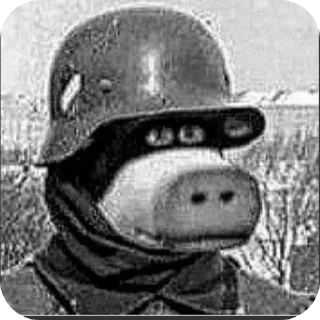 Video sticker 🎩 Нмипрмп