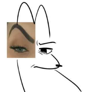 Telegram sticker 🤨 Крыс  @a_black_cat_a