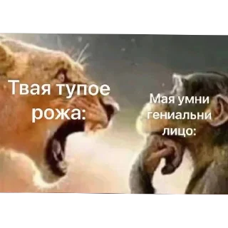 Video sticker 🖼 Больше стиков тут: @stikery4