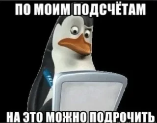 Telegram sticker 🌟 ТИМУРЧИК В ПОПЕ ОГУРЧИК :: @fStikBot