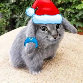 Телеграм стикер 🤩 котэ @ckladstikerov7