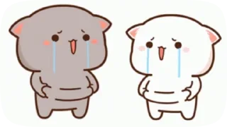 Video sticker 😭 Cumties :: @fStikBot