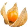 Video sticker 🍊 🍍 𝐸𝑥𝑜�...