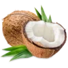 Sticker 🥥 🍍 𝐸𝑥𝑜𝑡𝑖𝑐 𝑓𝑟𝑢𝑖𝑡𝑠: @Faittereya 🍍