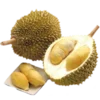 Sticker 🍐 🍍 𝐸𝑥𝑜𝑡𝑖𝑐 𝑓𝑟𝑢𝑖𝑡𝑠: @Faittereya 🍍