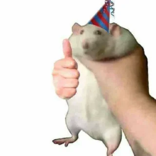 Video sticker 🐀 Fuck off 4. cringe killer @JusT_1_mE.