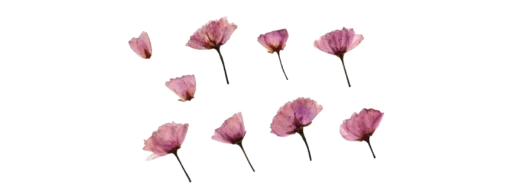 Telegram sticker ✝️ 𝚋ɾυɳɳα-❥֟፝ꔣ ˢᴱᴾᴬᴿᴬᴰᴼᴿᴱˢ :: @fStikBot