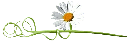Telegram sticker ✝️ 𝚋ɾυɳɳα-❥֟፝ꔣ ˢᴱᴾᴬᴿᴬᴰᴼᴿᴱˢ :: @fStikBot