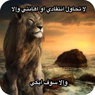 Telegram sticker 🖼 @ki0ip cat