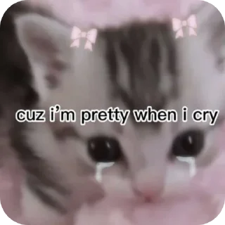 Telegram sticker 🤲 @ki0ip cat