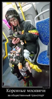 Video sticker 🤩 Жопаморжаа @TgEmodziBot