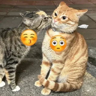 Telegram sticker 😙 Augu's Cabinet of Curious Stickers