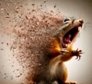 Telegram sticker 🌟 Ts ragebait from @Thirstj :: @fStikBot