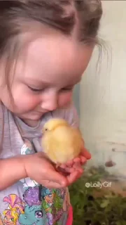 Video sticker 🥹 Não rouba seu porra (pack da lelê)