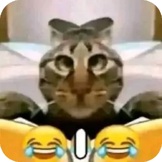 Sticker 👍 Y