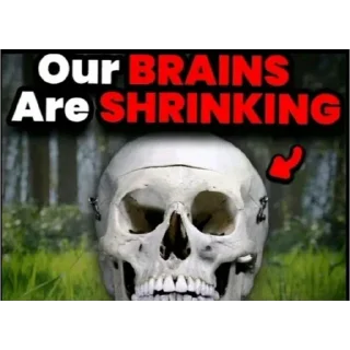Sticker 💀 our brains are SHRINKING