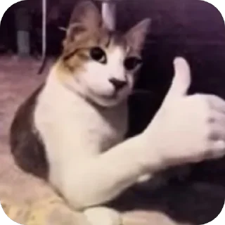 Telegram sticker 🫥 Mmzmxnx