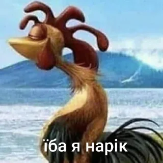 Video sticker 😛 їба чотiнька