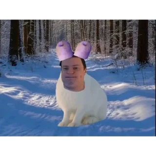 Telegram sticker 🤗 ЗВЕРИННИК БУРМАЛДИННИК @papiroska333