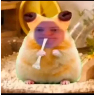 Video sticker 🥳 ЗВЕРИННИК БУРМАЛДИННИК @papiroska333