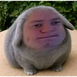 Video sticker 😏 ЗВЕРИННИК БУРМАЛДИННИК @papiroska333