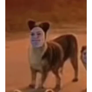 Telegram sticker 😈 ЗВЕРИННИК БУРМАЛДИННИК @papiroska333