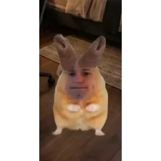 Video sticker 😔 ЗВЕРИННИК БУРМАЛДИННИК @papiroska333