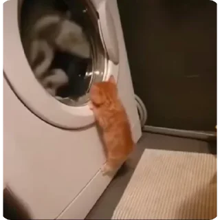 Telegram stiker 😎 @ii1iril