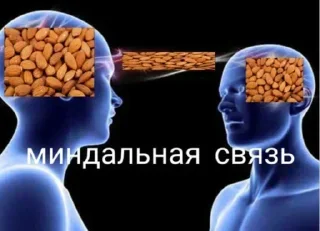 Video sticker 🤝 Больше стиков тут: @stikery4