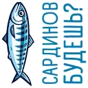 Video sticker 🐟 Cronicadept