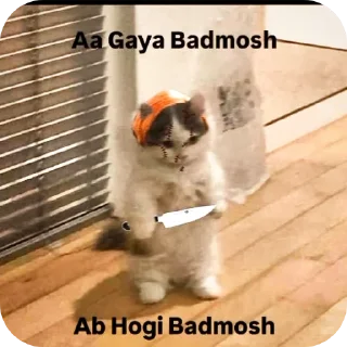 Video sticker 🖼 Kalu masum cutei @Skylordbaba