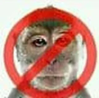 Sticker ❌ рокстер ты что курил :: @fStikBot