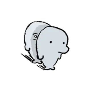 Video sticker ⭐ 돌고래는 지능이 높다 2 @moe_sticker_bot