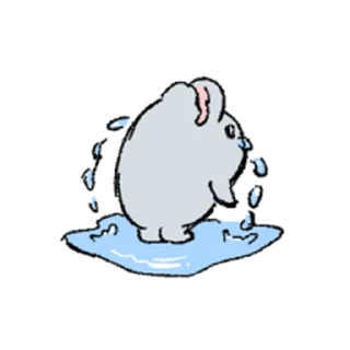 Telegram sticker ⭐ 돌고래는 지능이 높다 2 @moe_sticker_bot