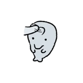 Video sticker ⭐ 돌고래는 지능이 높다 2 @moe_sticker_bot