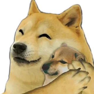 Telegram sticker 😂 @Chetan01JAAT's Hêllẞø† Vol.1