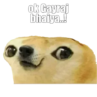 Video sticker 😁 @Chetan01JAAT's Hêllẞø† Vol.1