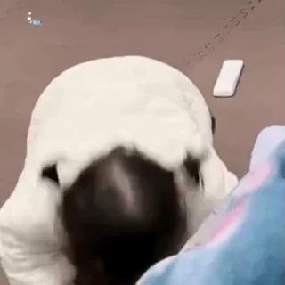 Video sticker 😊 关注小张解锁更多有趣的事物 @xiaozhangdepyq :: @fStikBot