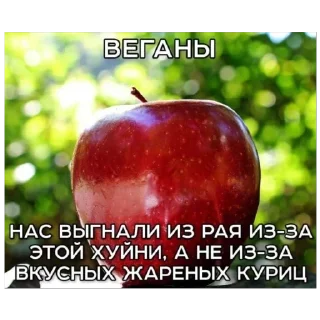 Telegram sticker 🫥 Больше стиков тут: @stikery4