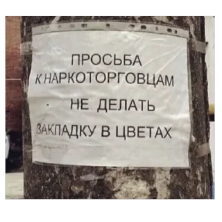 Video sticker 🫥 Больше стиков тут: @stikery4