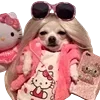 Video sticker 😎 с любовьʏ�...