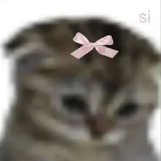 Telegram sticker 🎀 زوزه العلويه core...