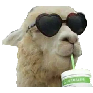 Sticker 😎 tymemes